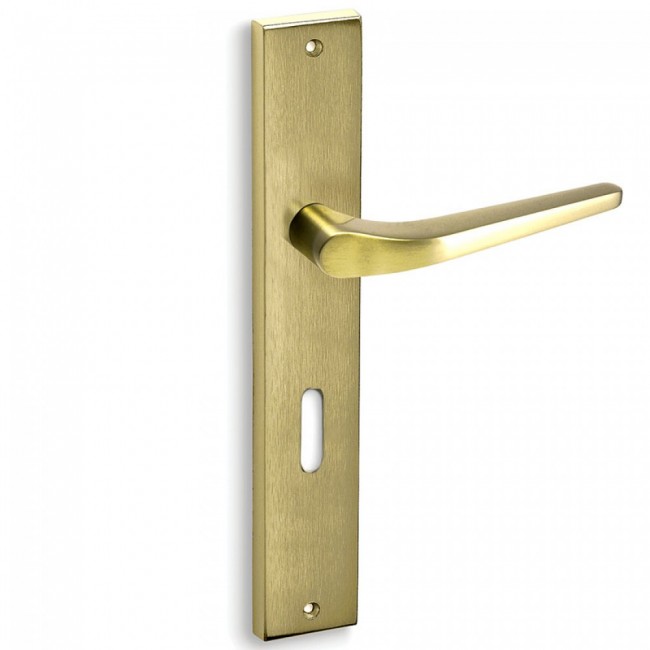 Convex πόμολο πλάκας 1505 ορείχαλκος ματ