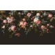 Graham and Brown The Bespoke Collection εξατομικευμένη φωτοταπετσαρία 122032 φλοράλ μαύρη